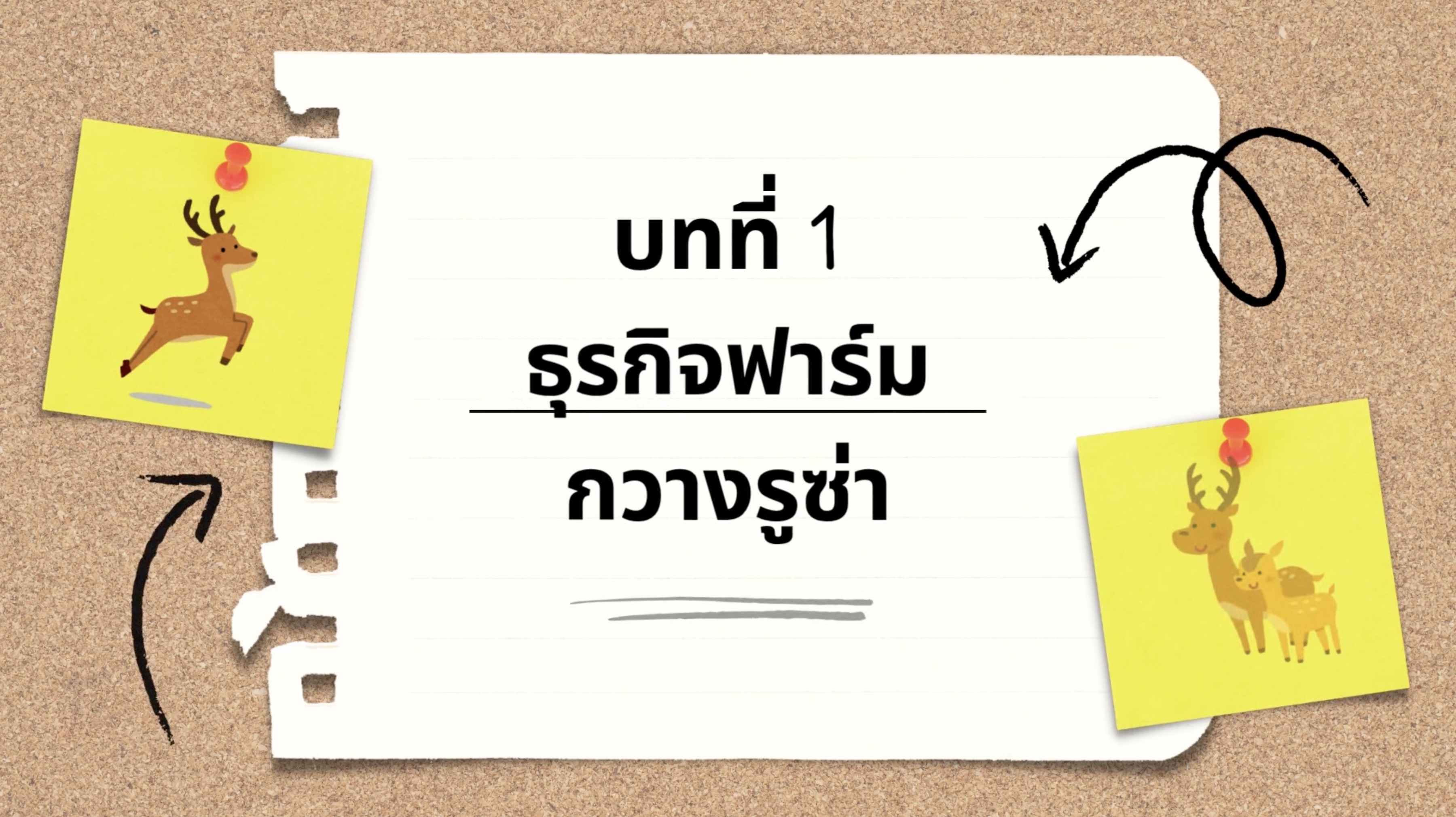 วิดีโอบทที่ 1