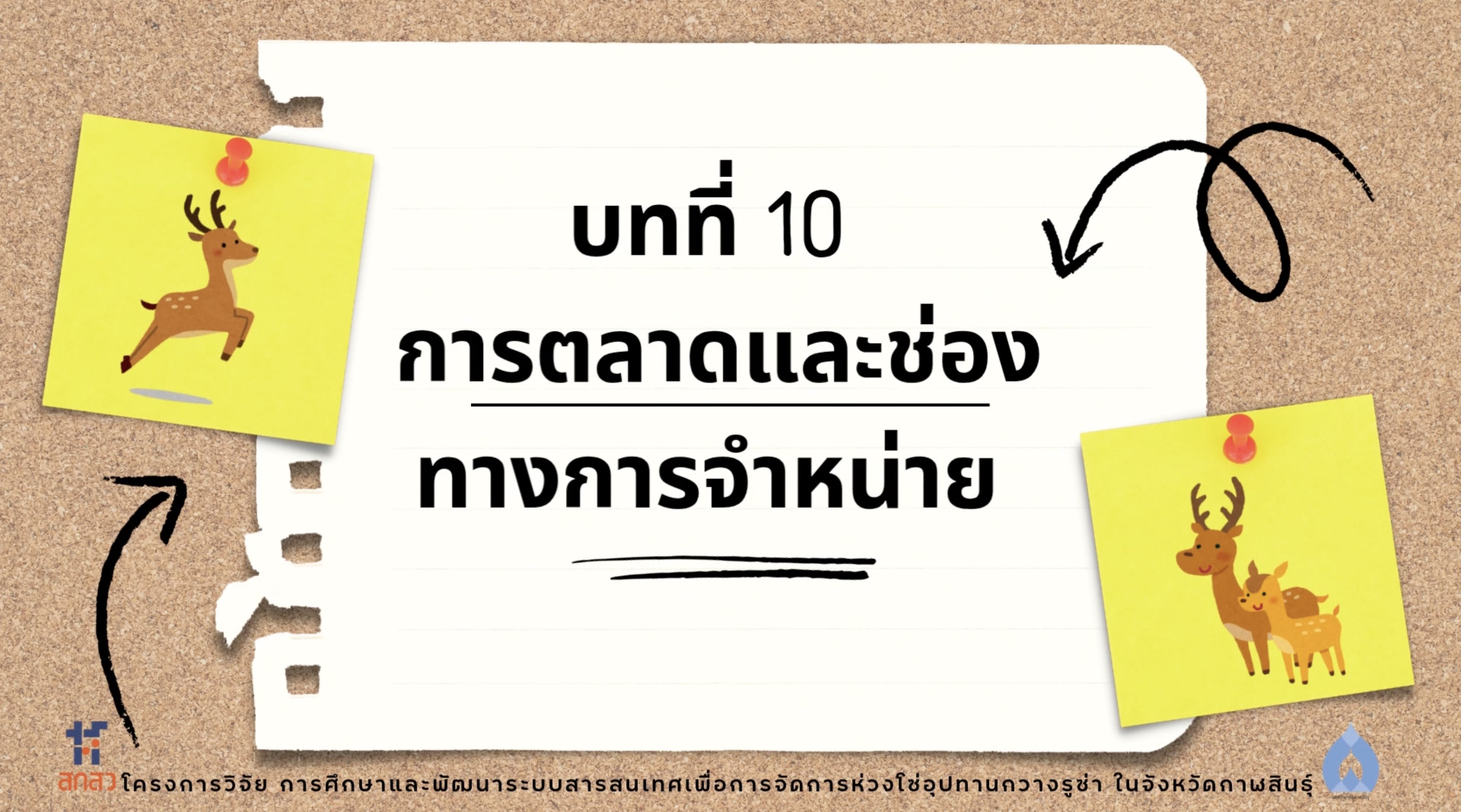 วิดีโอบทที่ 10
