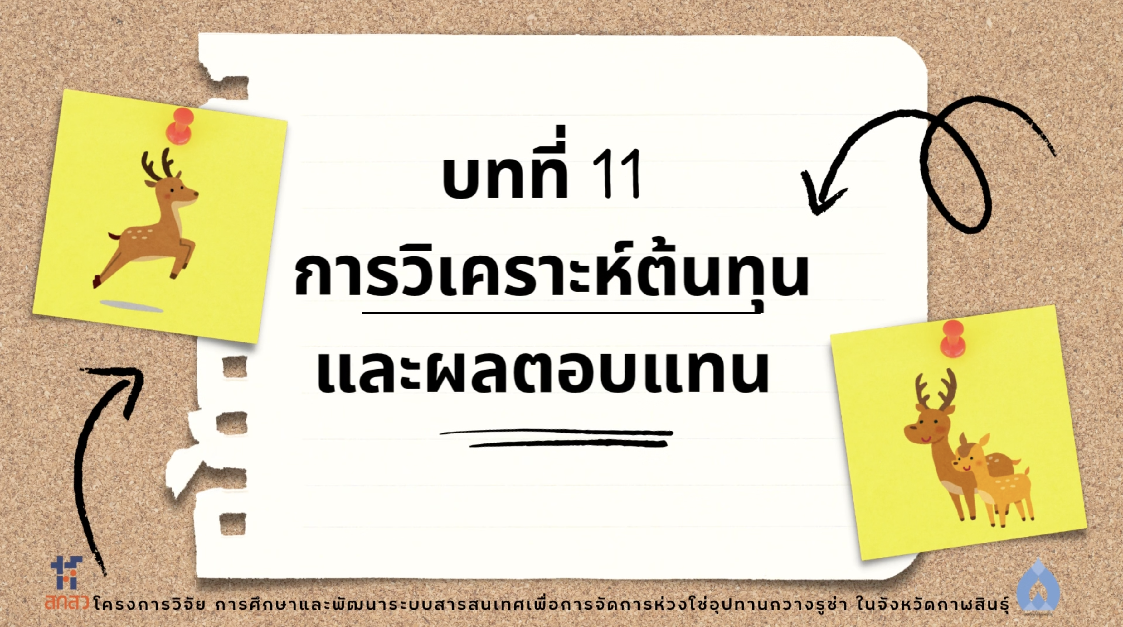 วิดีโอบทที่ 11