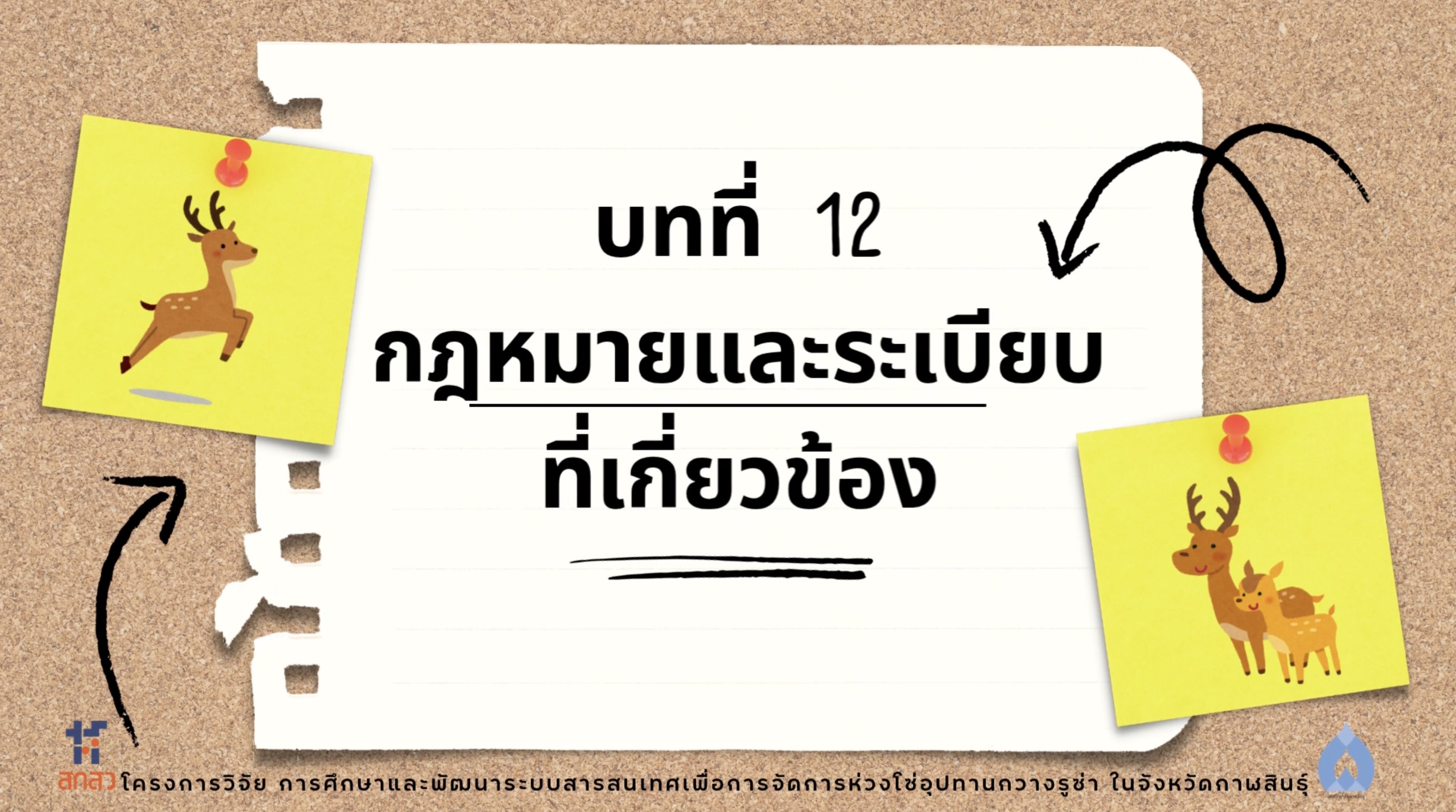 วิดีโอบทที่ 12