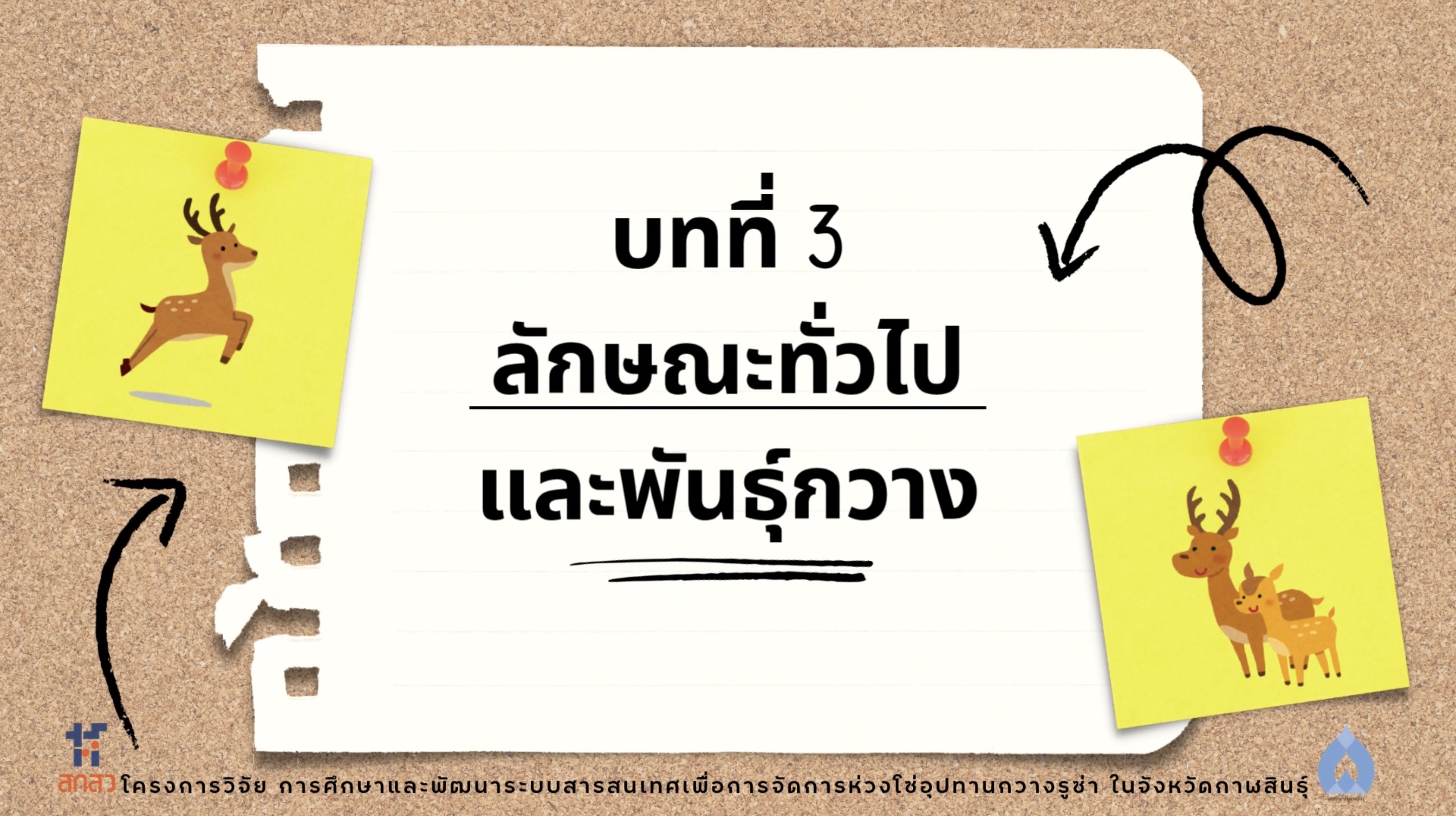 วิดีโอบทที่ 3