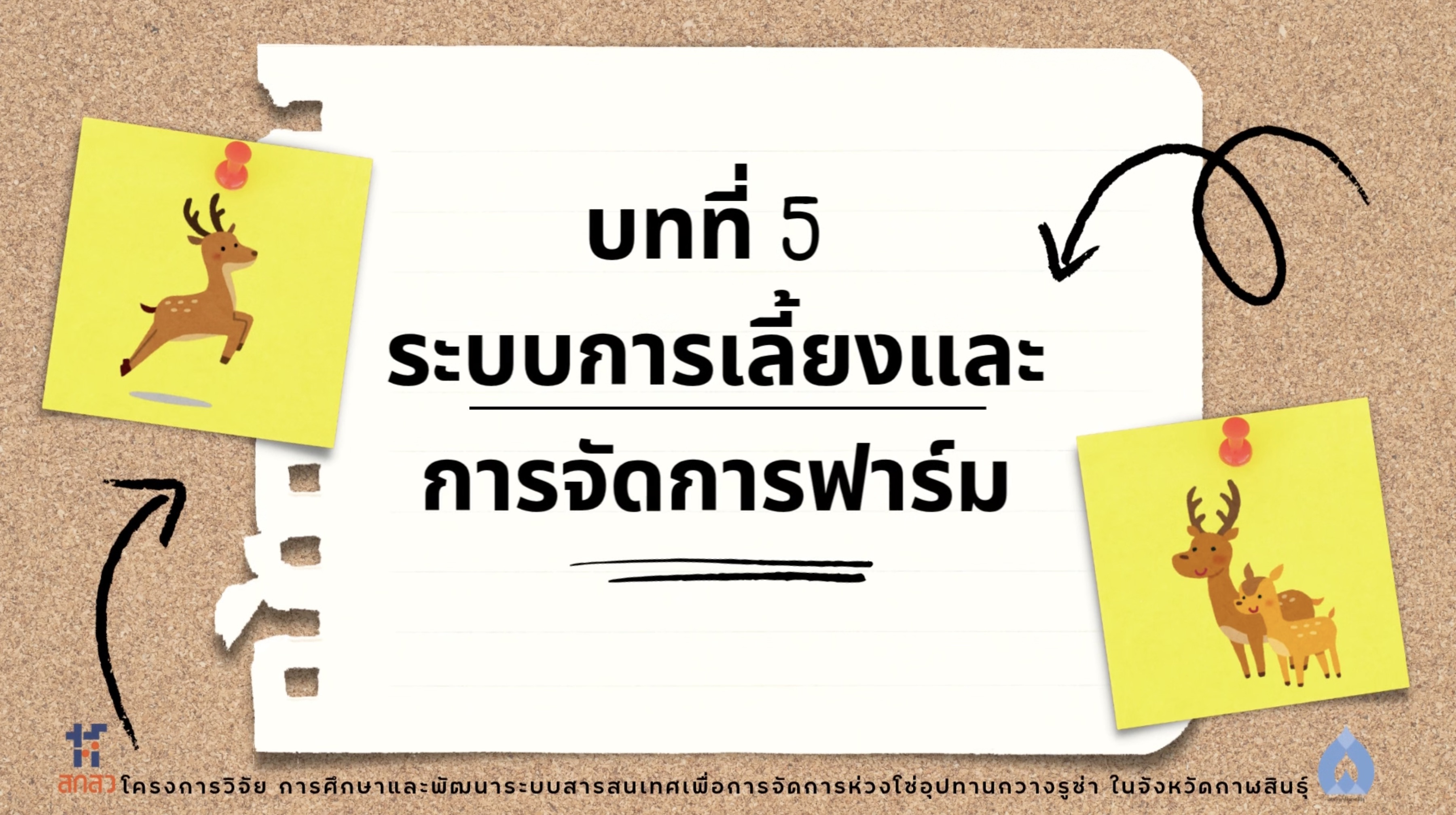 วิดีโอบทที่ 5