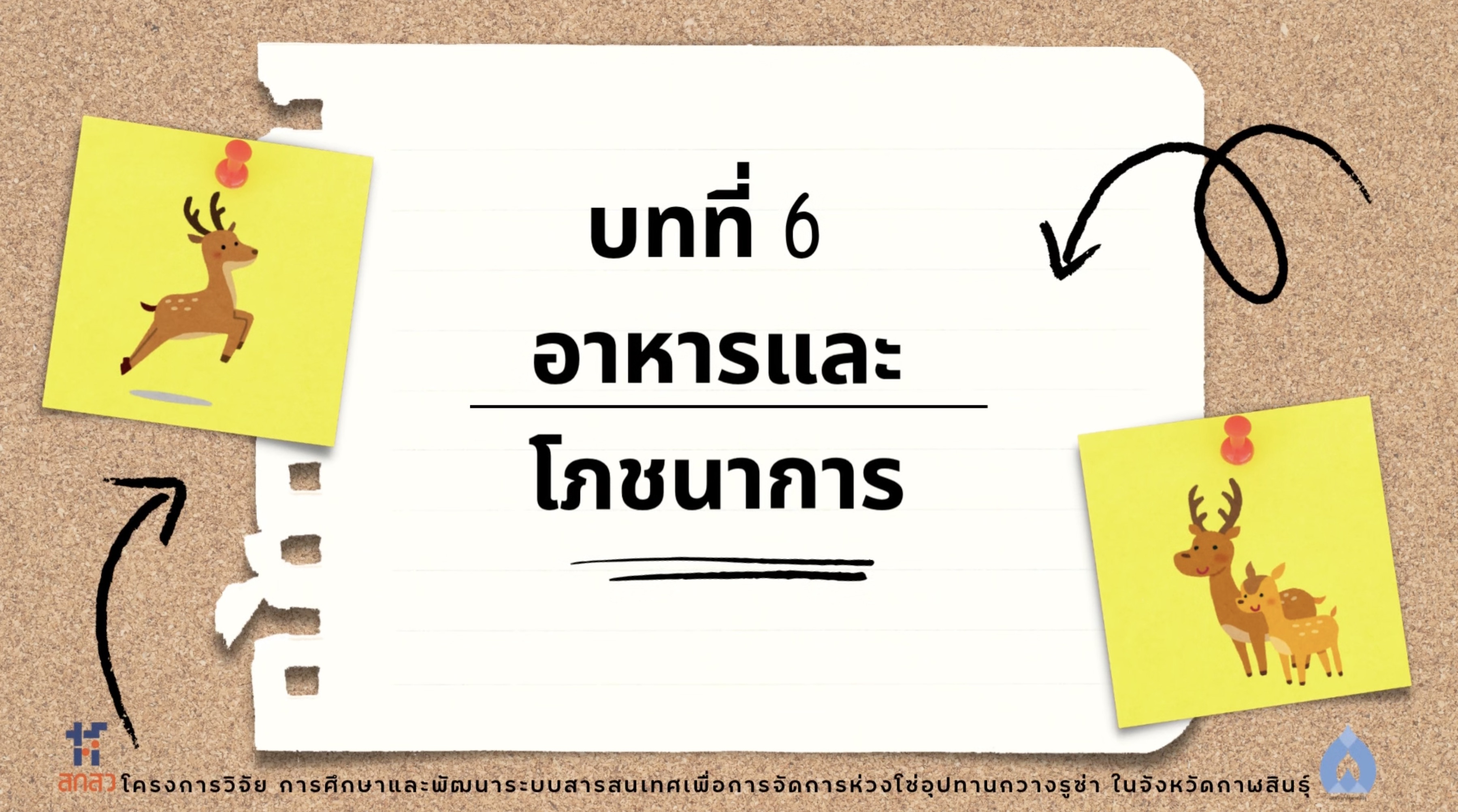 วิดีโอบทที่ 6