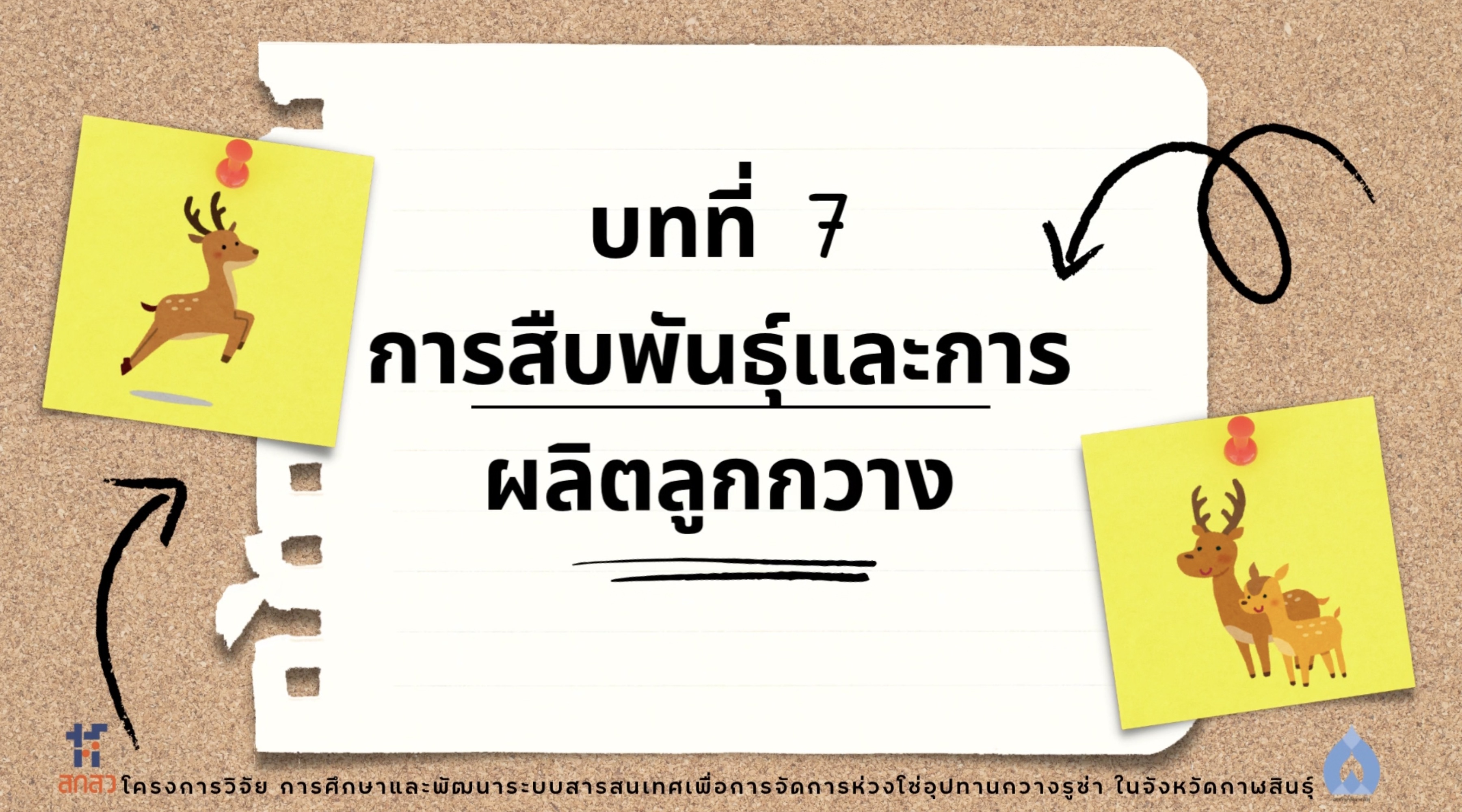 วิดีโอบทที่ 7