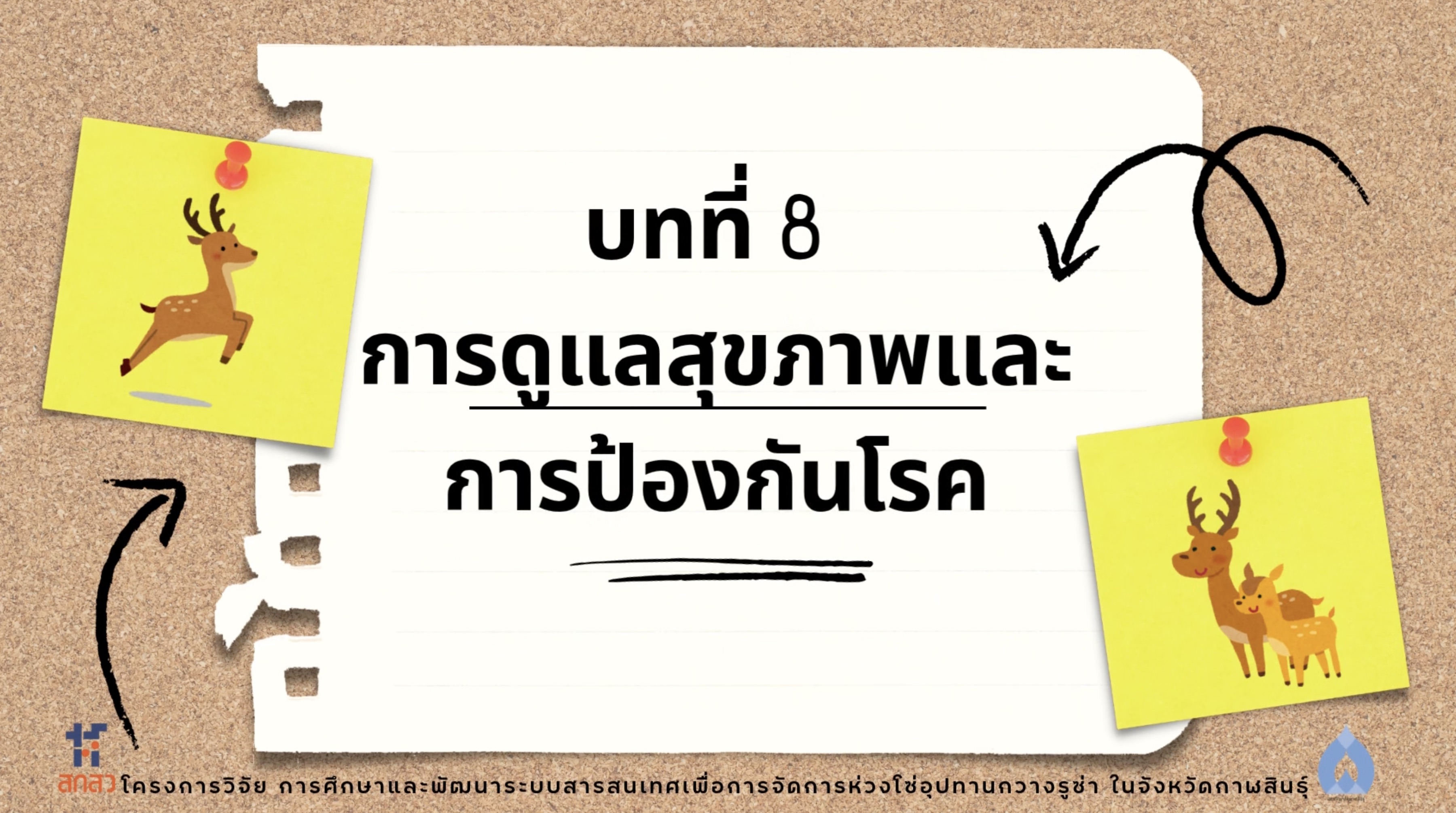 วิดีโอบทที่ 8