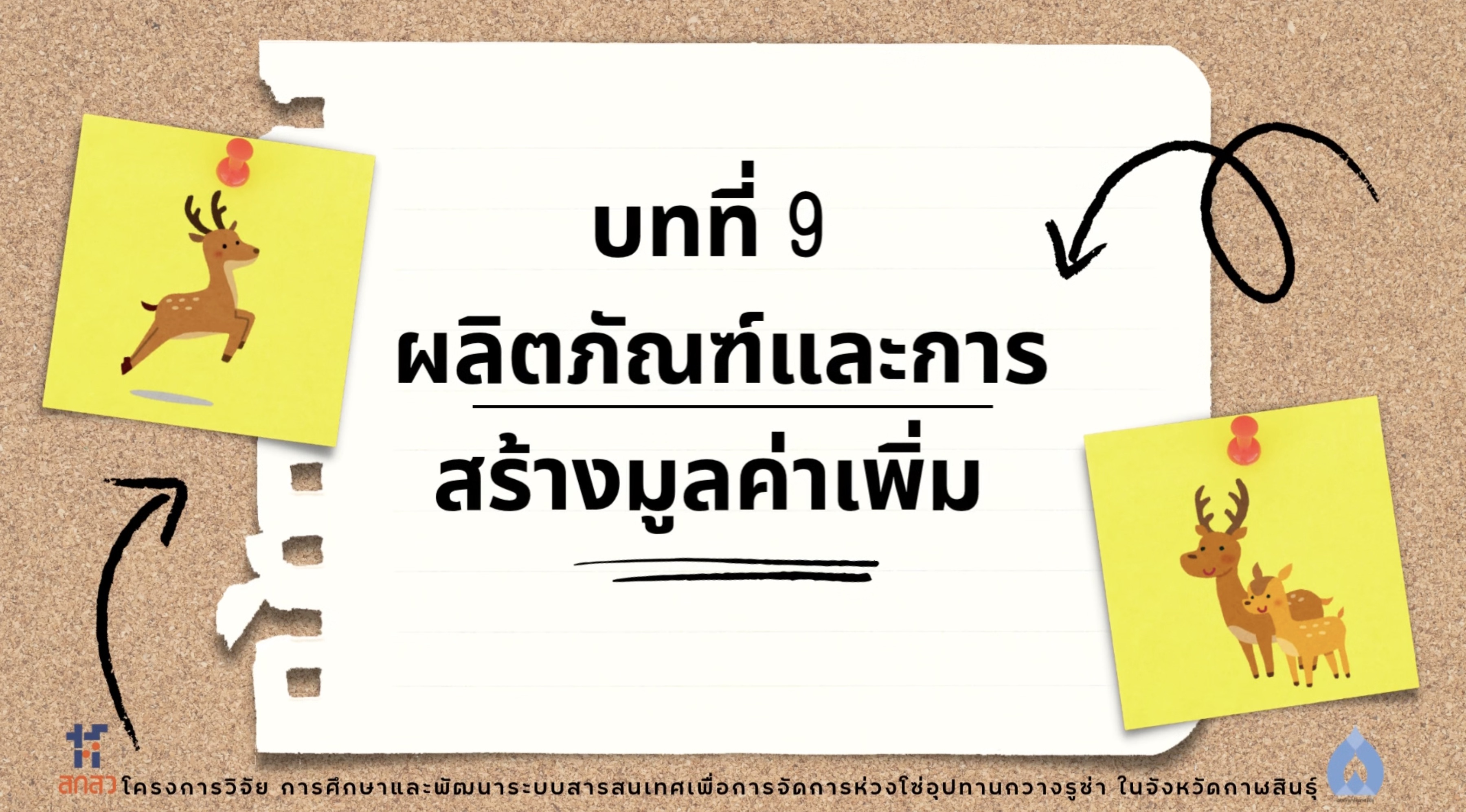 วิดีโอบทที่ 9